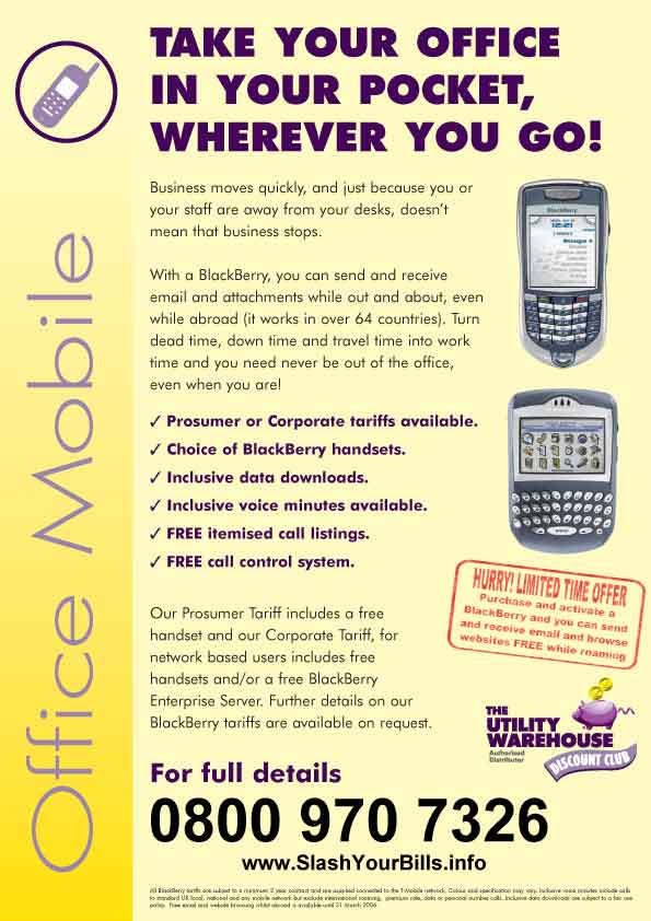 Blackberry flyer